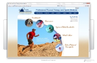 professionalphysicaltherapy-com